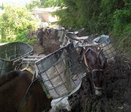 金湾区马帮搬运