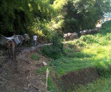 金湾区马帮运输队