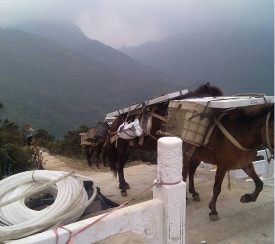 金湾区山区马帮运输