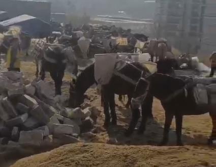金湾区马队山路运输