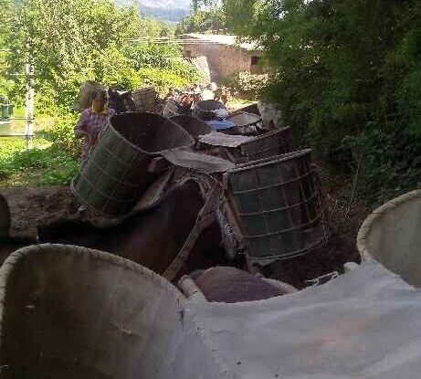 金湾区骡马运输队