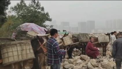 金湾区骡马山区运输