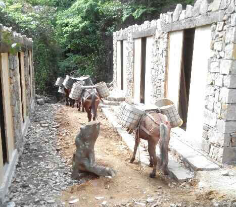 金湾区马队运输队